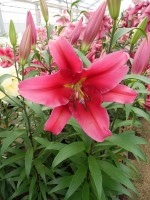 [4155 Believe Mak No202.JPG]